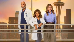 Grey’s Anatomy 7. Sezon 2. Bölüm